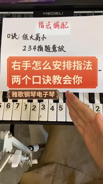 学电子琴入门视频教程缩略图