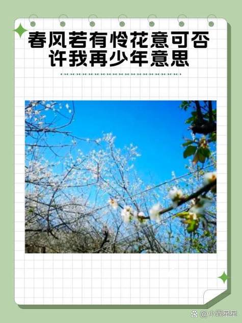 赞美年华的诗句缩略图