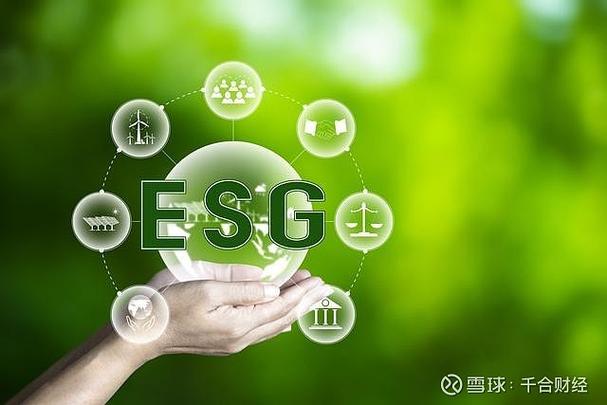 wallpaper的购买渠道缩略图