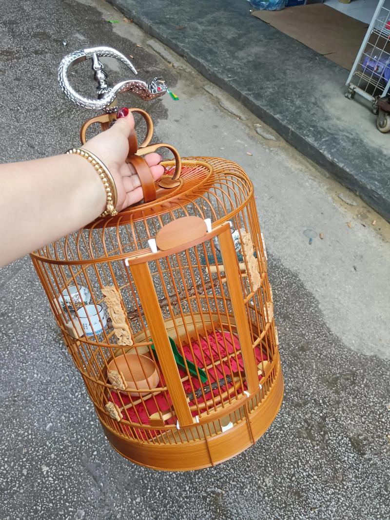 黄鸟抓包旧版本游戏截图