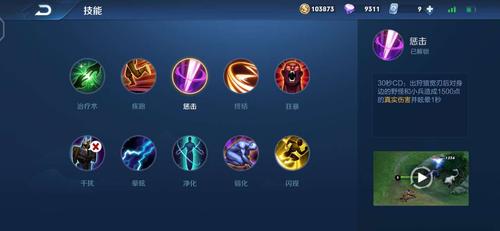 王者惩戒缩略图