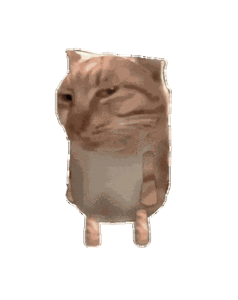 猫meme表情包动图缩略图