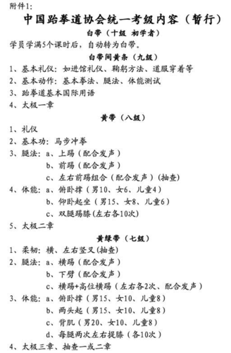 2026跆拳道考级价格表最新缩略图