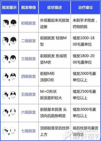 植发3000个毛囊多少钱游戏截图