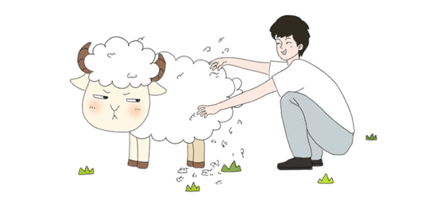 薅羊毛了缩略图