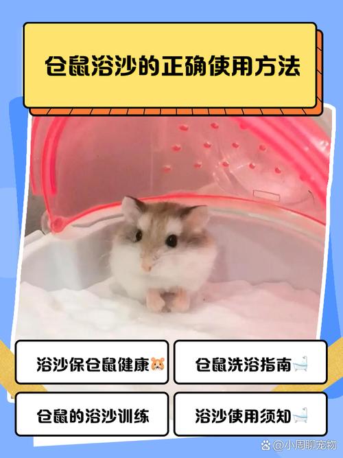 仓鼠洗澡浴沙洗多久缩略图