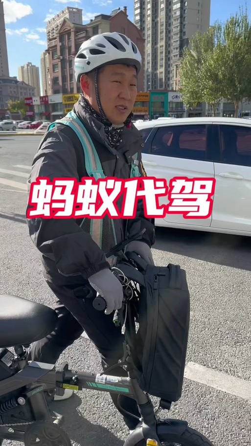 蚂蚁代驾图标