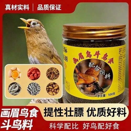 画眉鸟斗鸟食游戏截图