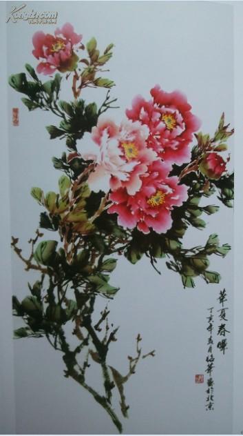 牡丹花信息缩略图