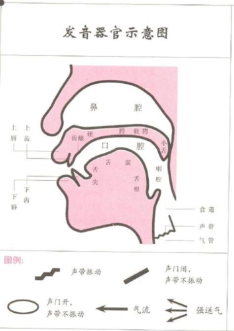 如何正确发声训练方法缩略图