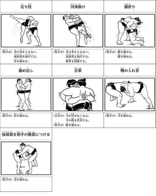 剑盾武道熊师连击流的招式搭配缩略图