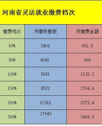 河南税务灵活就业个人缴纳社保缩略图