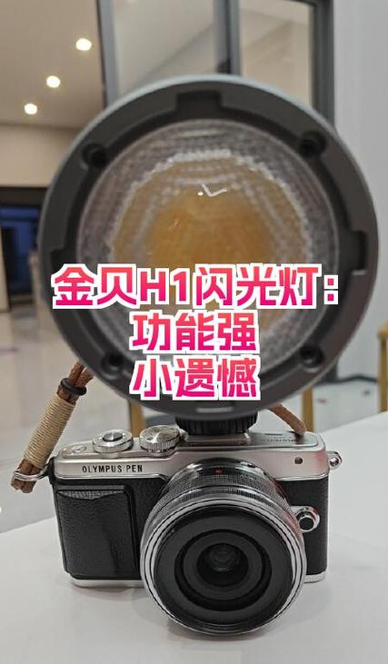 金贝闪光灯故障维修手册游戏截图