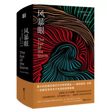 风暴眼 小说缩略图