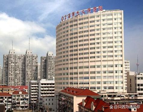 上海前十名整形医院缩略图