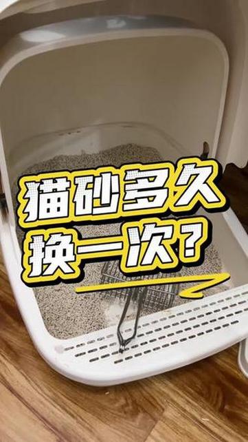 一般猫砂多久换一次游戏截图