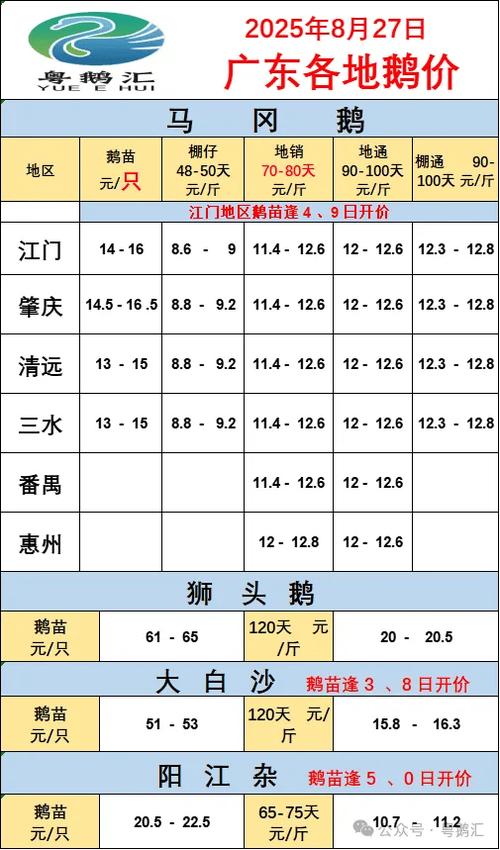 一个鹅大约多少钱一只缩略图