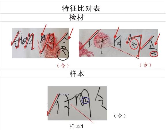 字迹年限可以鉴定不游戏截图