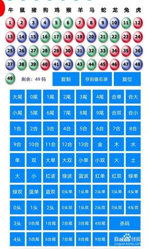 49码挑码助手缩略图