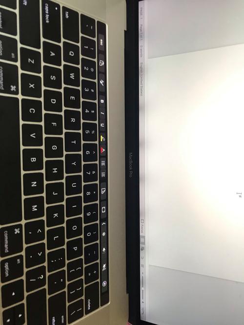 mac屏幕颜色不正常游戏截图