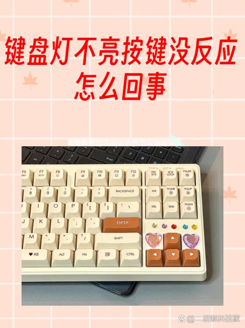 键盘num灯不亮按键无反应缩略图