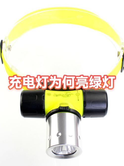 小牛充满电缓冲多久变绿灯截图