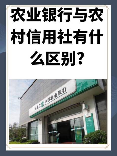 农村信用社卡重置密码图标