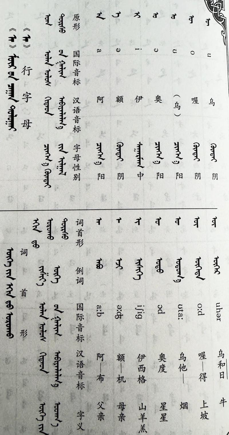 蒙语翻译中文在线缩略图