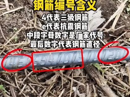 钢筋真假图片缩略图