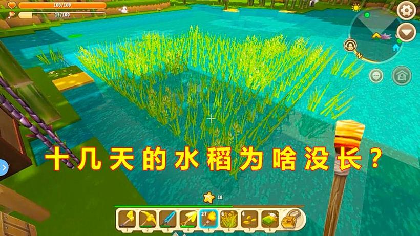 迷你世界水稻怎么种植游戏截图