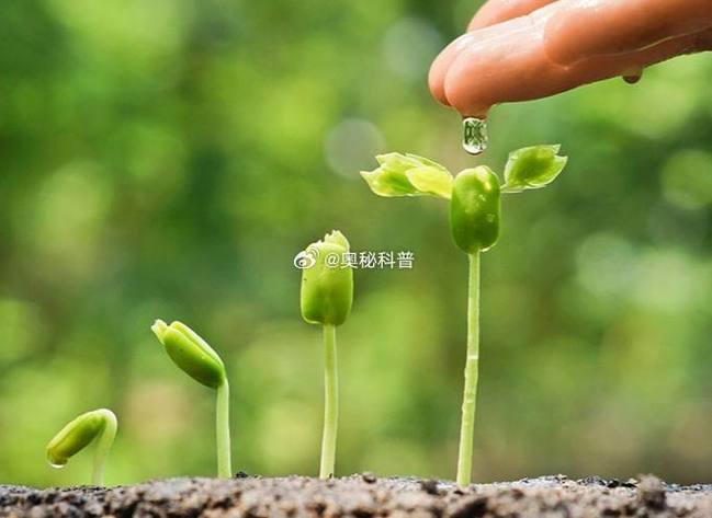 脑子笨可以变聪明吗缩略图