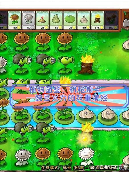 监控植物大战僵尸下载安装缩略图
