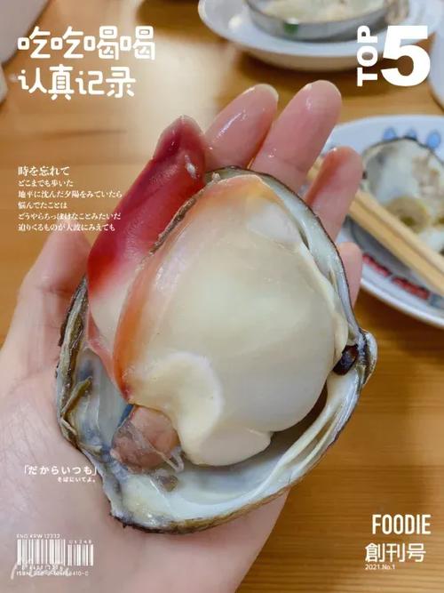 主喜欢什么样的贝缩略图