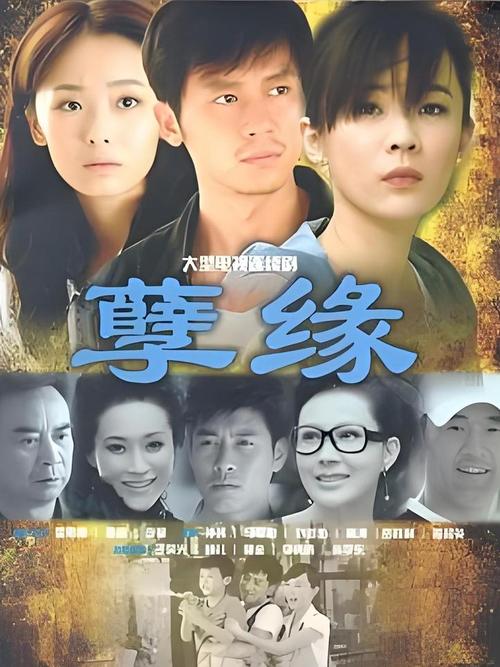 炮神大结局剧情介绍缩略图