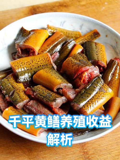 养黄鳝100斤一年利润缩略图