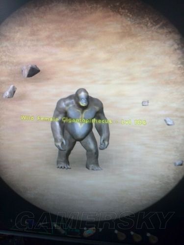 方舟已驯服生物代码(转载自别人自用)游戏截图