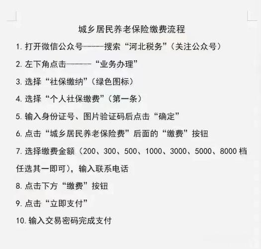 河北税务app怎么交养老保险步骤缩略图