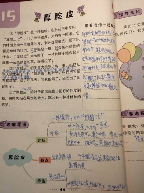 浣熊阅读理解三年级游戏截图