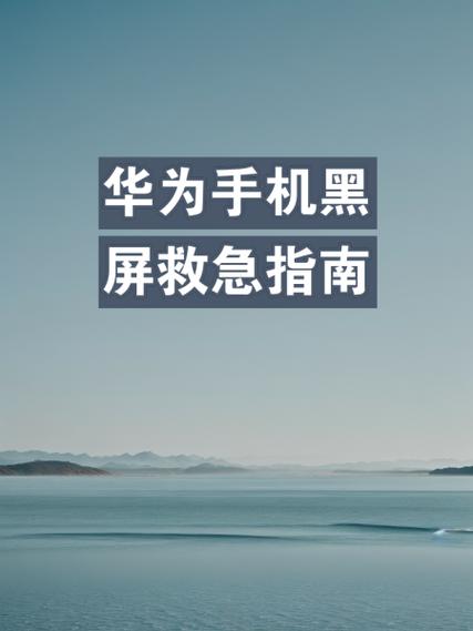 手机摔坏黑屏了照片怎么导出来缩略图