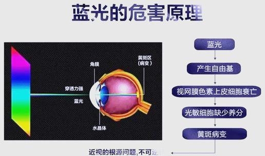 蓝光对眼睛的危害游戏截图