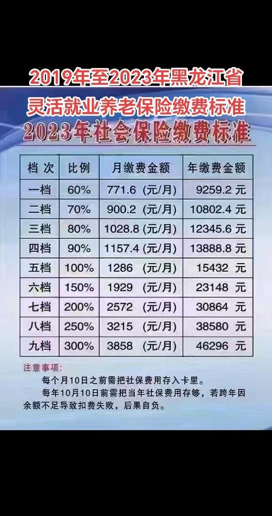 黑龙江省税务社保缴费缩略图
