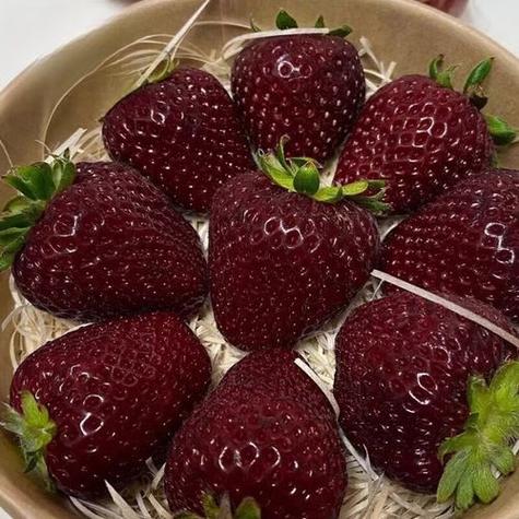 黑草莓好吃吗缩略图