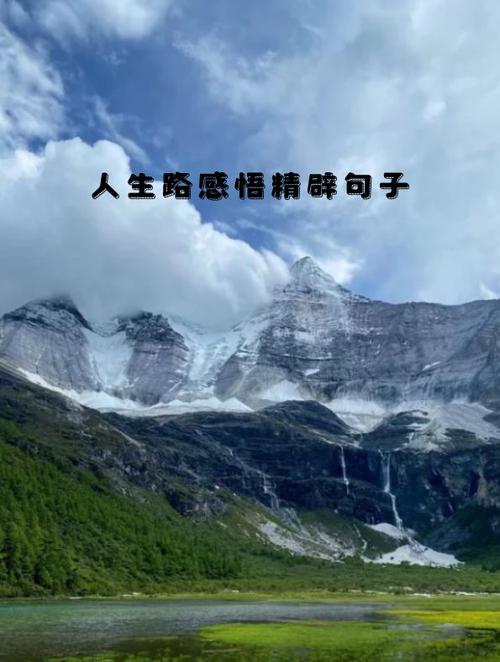 人生哲理最精辟的句子缩略图