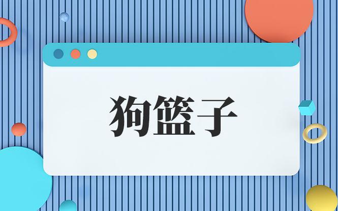 狗篮子是啥意思游戏截图