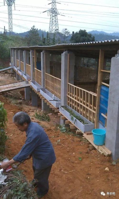 羊圈设计 羊舍建造图片缩略图
