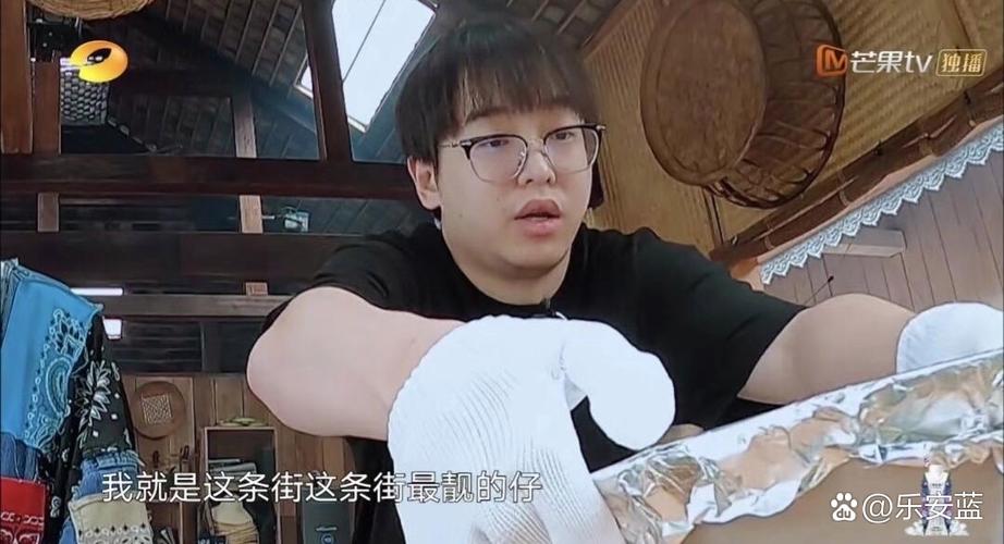 向往的生活之巅峰大导演免费缩略图