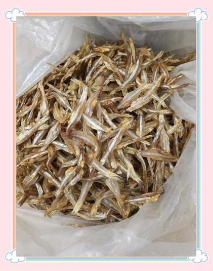 小鱼干是干嘛的游戏截图