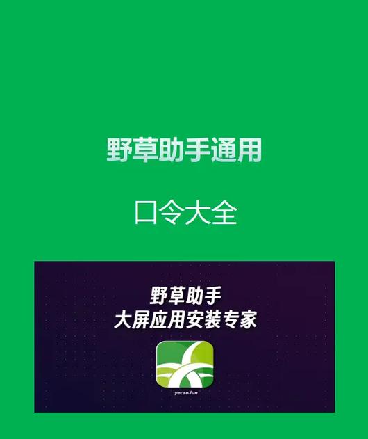 野草助手1.0.4缩略图