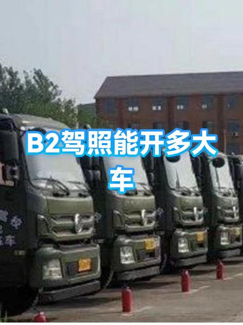驾照b2模拟考试题缩略图