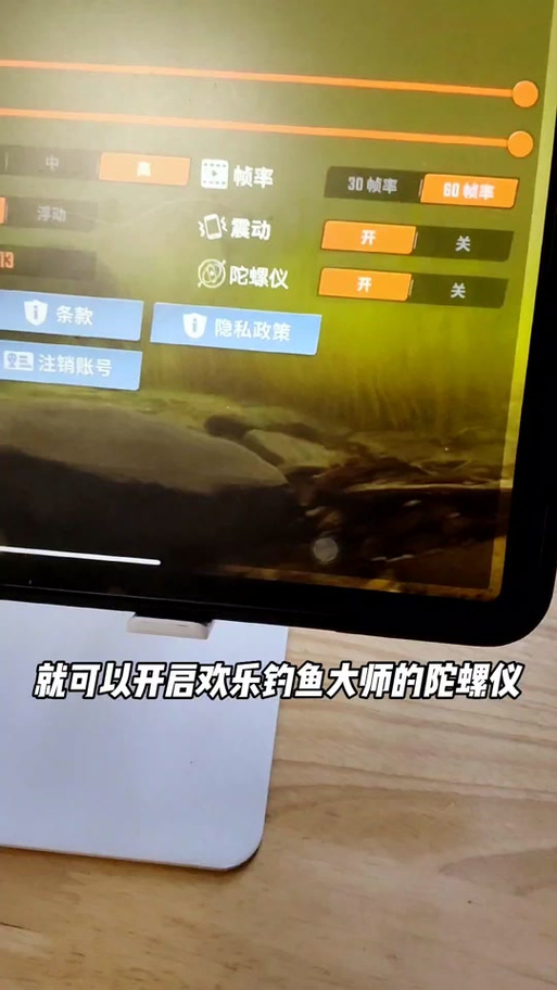 强制开启陀螺仪软件游戏截图